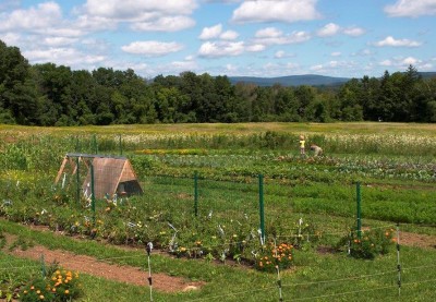 Farm Aug 2014